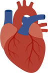 Cardiovascular icon