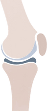 Orthopedic icon